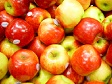 Food - Apples