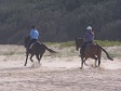 Activities - Horseback Riding in the Sand