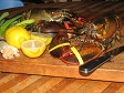 Lobsters.JPG